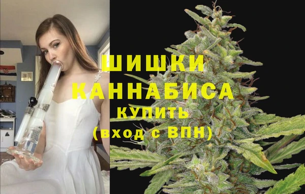 соль ск Дмитров