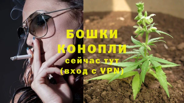 мескалин Горно-Алтайск