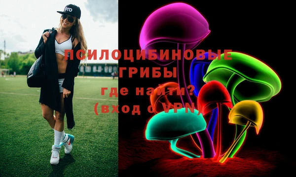 соль ск Дмитров